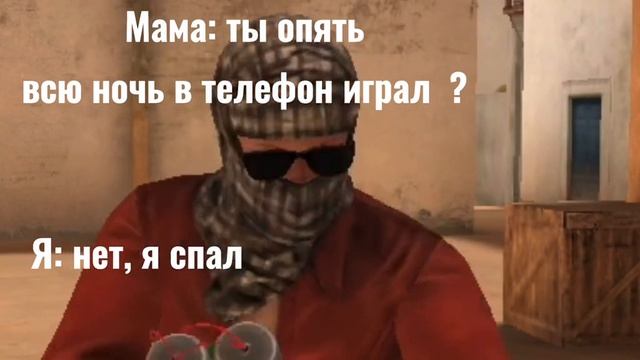 кот с помбой💀💀😎😎🤪🤪😂😂