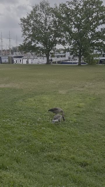 1000042867.mp4