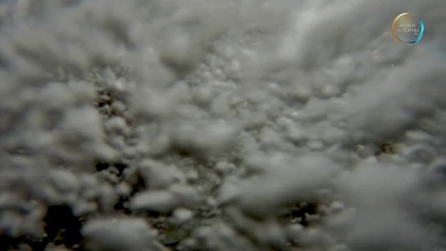 Загадочная парма