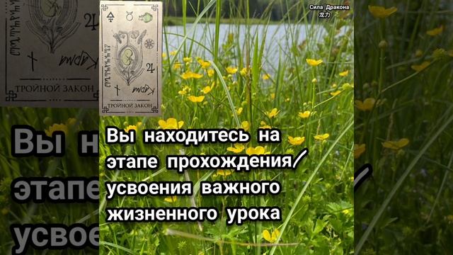 ‼️На каком этапе развития Вы находитесь❓️