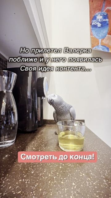 Когда у Валеры своя идея какой мне выставлять для вас контент😂