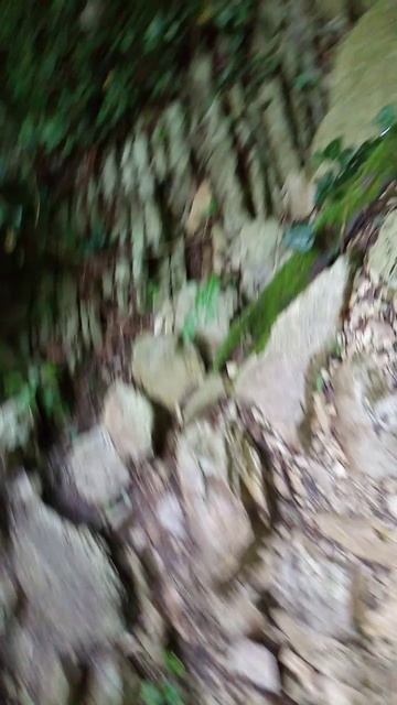 VID_20250621_092333