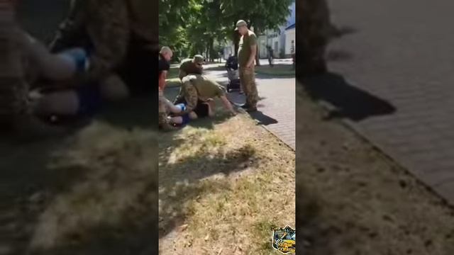Новые кадры могилизации