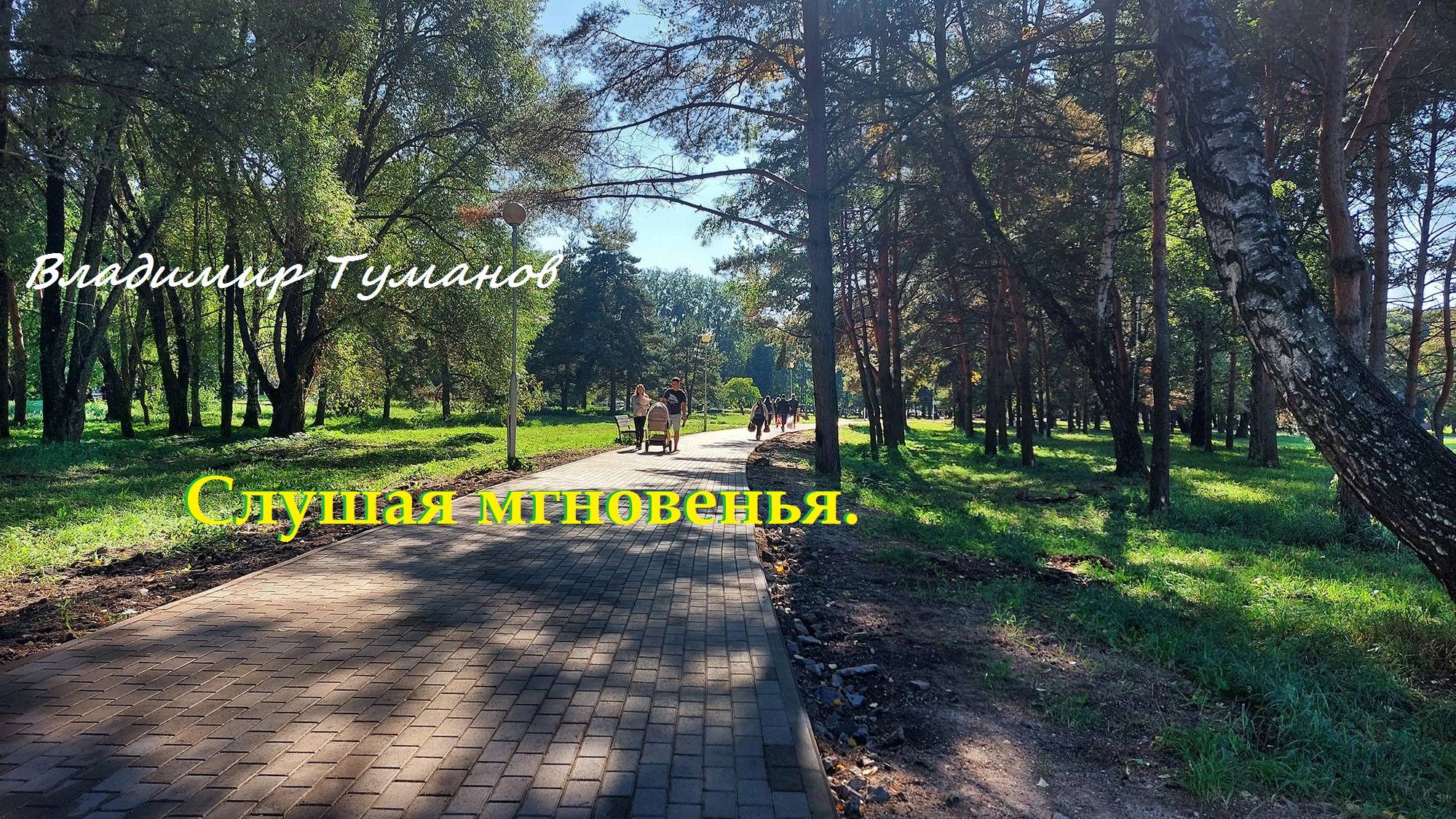 Аудиокнига. Стихотворение "Слушая мгновенья."