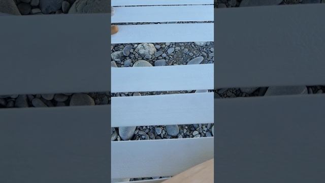 ЛЕГУН СОНЦЕ.mp4