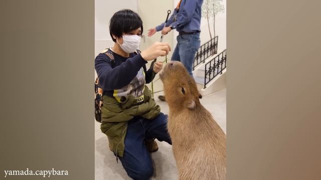 Ничто Не Может Подготовить Вас К Такой Любви Между Животным и Человеком!