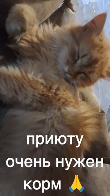 +7985 193 0027 сбер, элплат