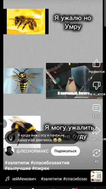 не ну рил