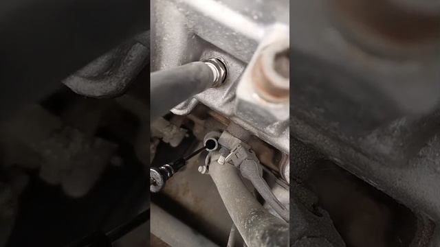 1000152905.mp4