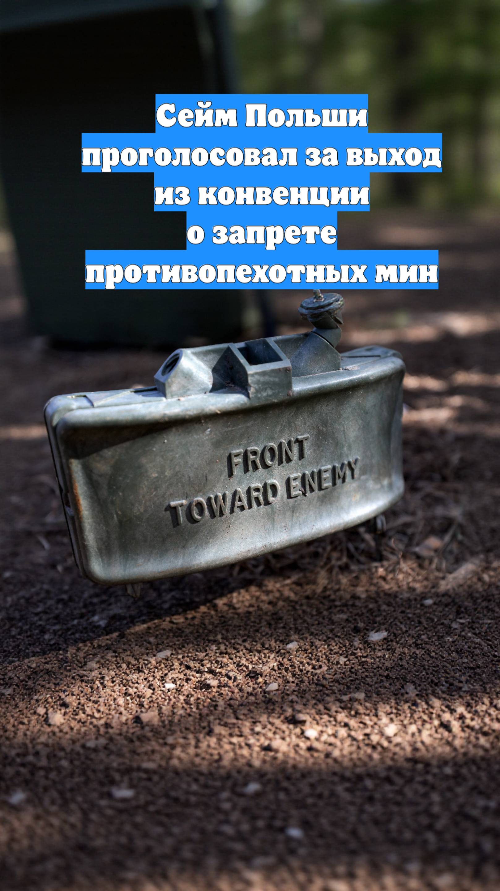 Сейм Польши проголосовал за выход из конвенции о запрете противопехотных мин