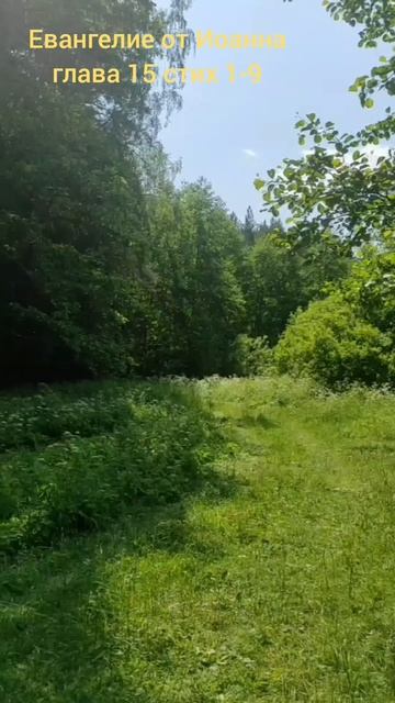 Евангелие от Иоанна глава 15 стих 1-9