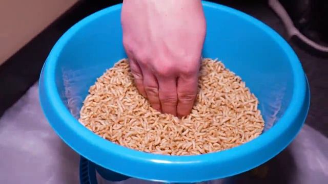 А4 Мы Нашли КЛЮЧ в КУБЕ ЛЬДА...
