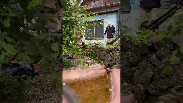 Смотрите на крокодилов!