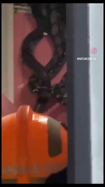 О нет.
