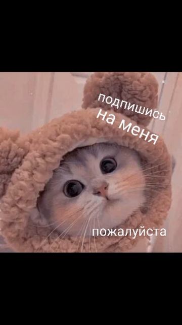 подпишись на меня🥺