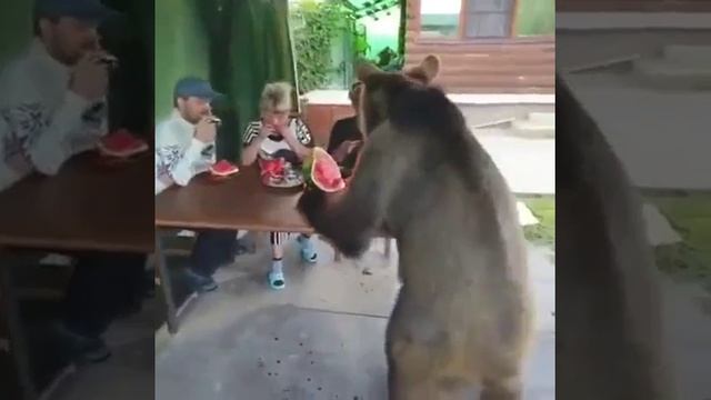 гостям всегда рады
