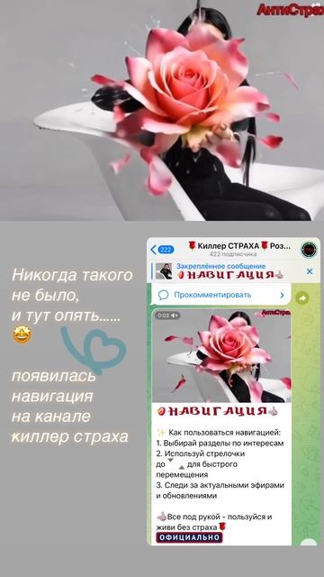 Роза Сэй