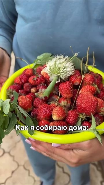 -977883408511112404