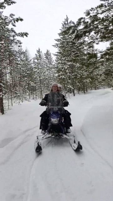 ЗИМНИЙ ЛЕС!