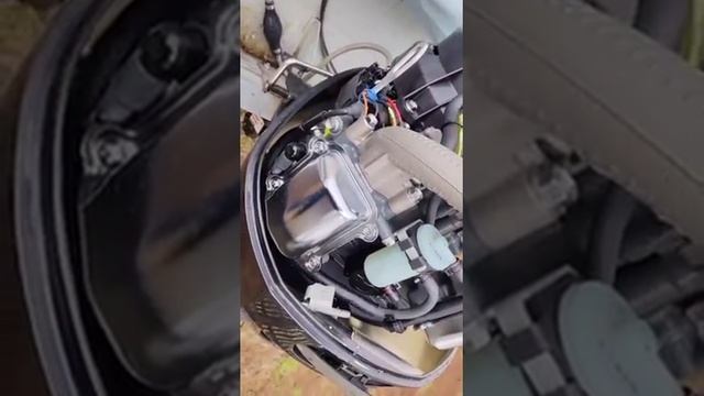 1000007770.mp4