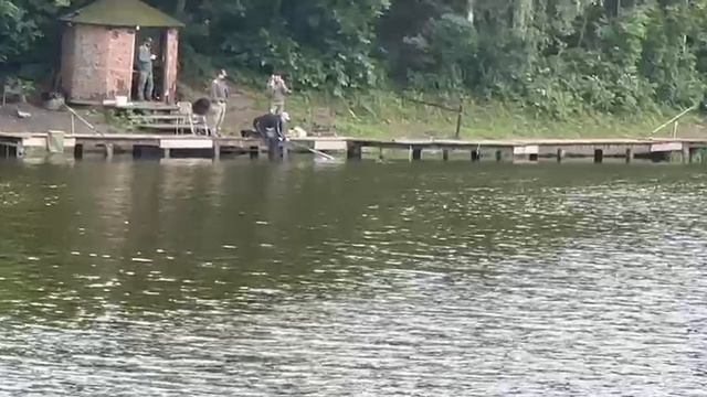 Поимка Карпа