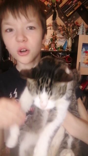 2025-06-26-174505468.mp4