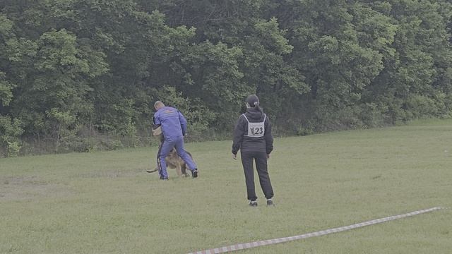 3 Отл. ТАВОР с Хехцира +++ №23. КЧК ХАБАРОВСК 13 июня`25 В.Киселева Моно н/о