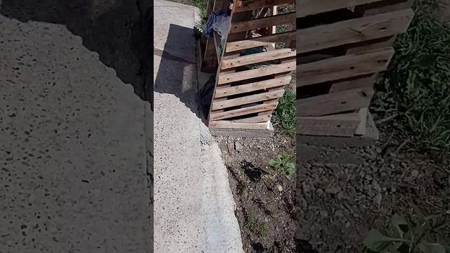 Показал свой велик