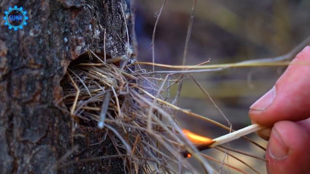 USEFUL IDEAS FOR CAMPING