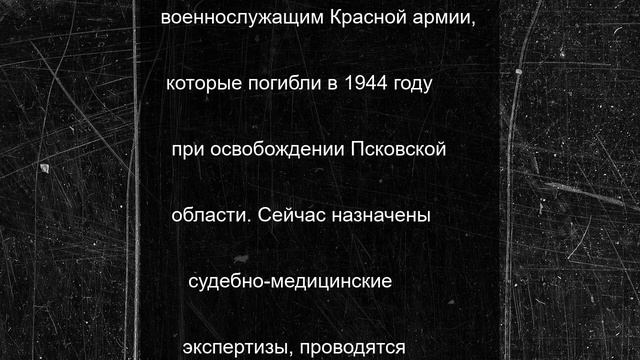 Человеческие останки нашли в Псковском районе