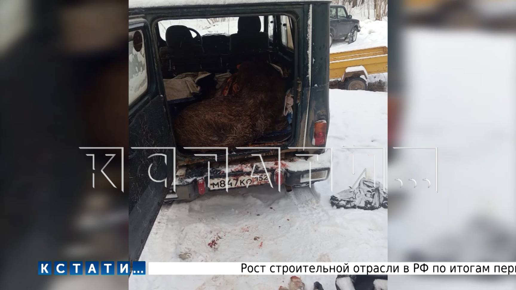 Зам. начальника отдела полиции, стал браконьером, убивающим тех, кого даже нарушители не трогают