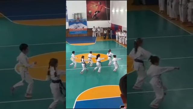 Фестиваль и Молодежный спортивный лагерь боевых искусств «Альборц»