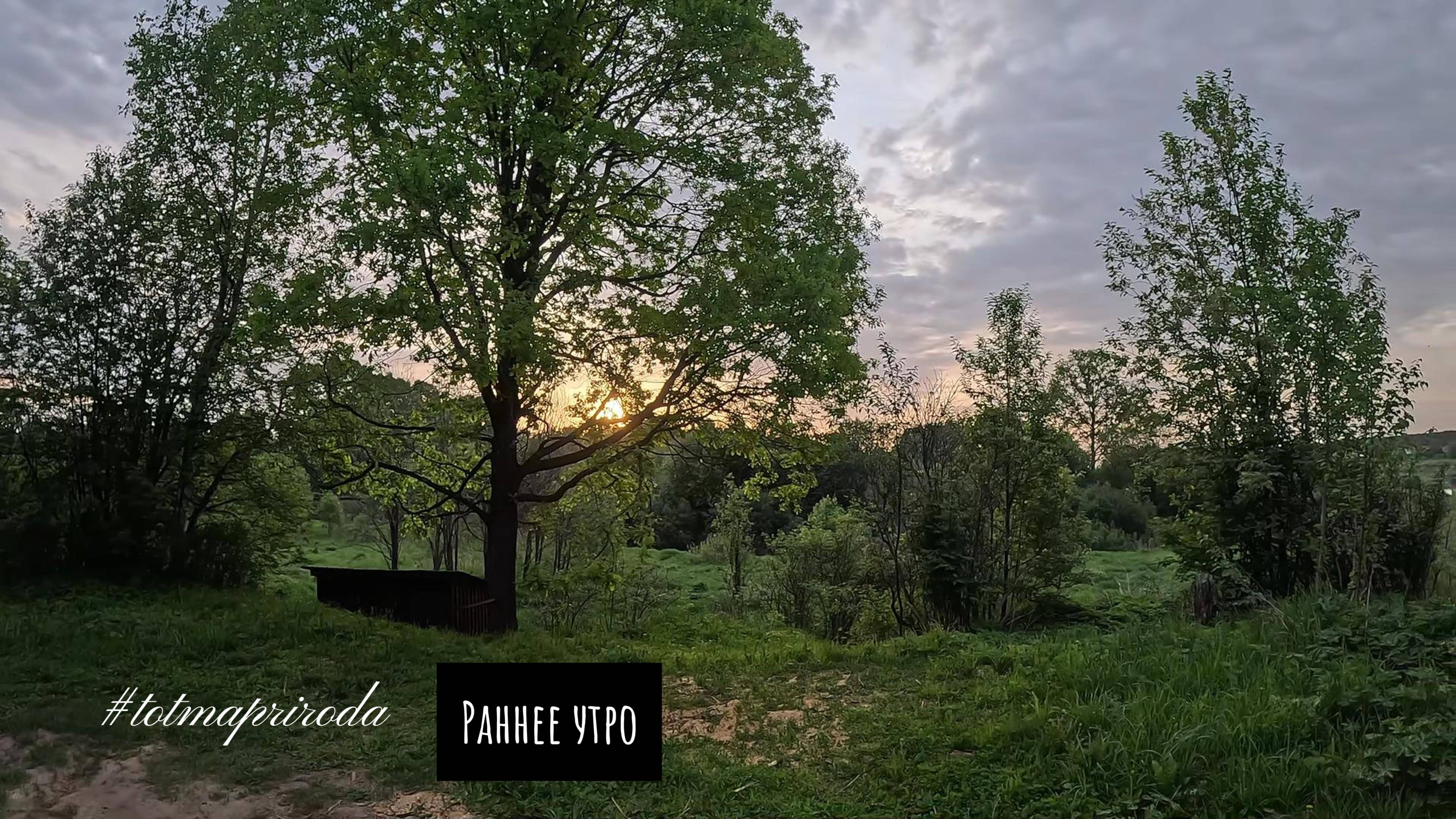 г. Тотьма раннее утро