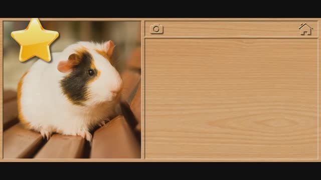 Мультфильмы для детей . Мультики для малышей. Пазлы.Детям,