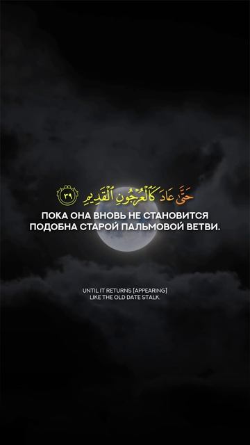 Сура 36 Ясин аяты 37-40
Чтец: Абдулла аль-Карни