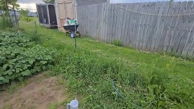 СЕЛЬЧАНКА НА ХУТОРЕ.