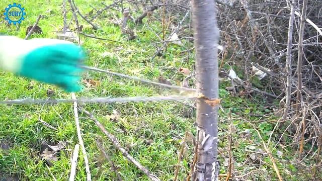 Wow! 3 Awesome ideas or Life Hacks