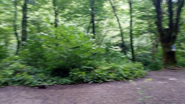 VID_20250621_090246