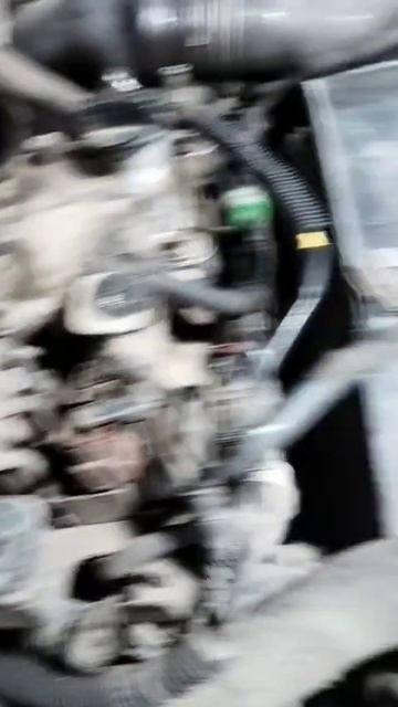 1000007984.mp4