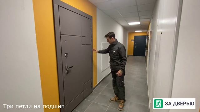 Обзор двери Стальной Стандарт S19 зеркало
