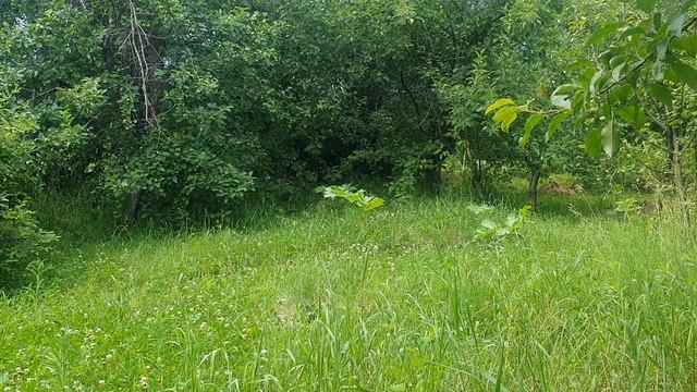 Пять минут до войны...