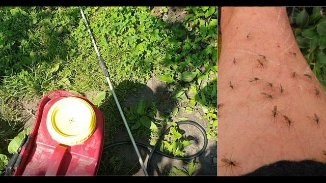 1й варинт. Не противляться злу насильем. Шуточная