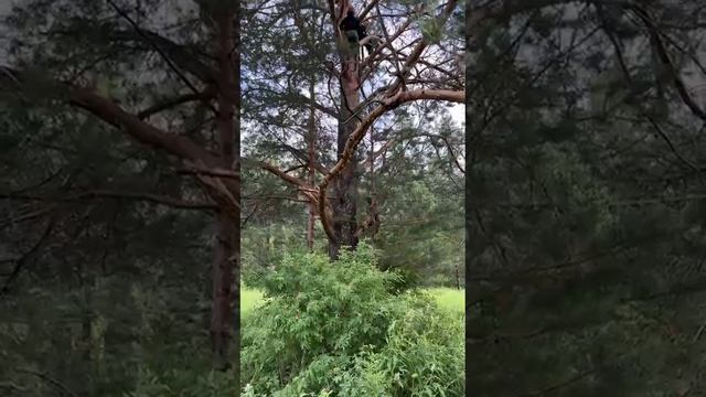 1000207690.mp4