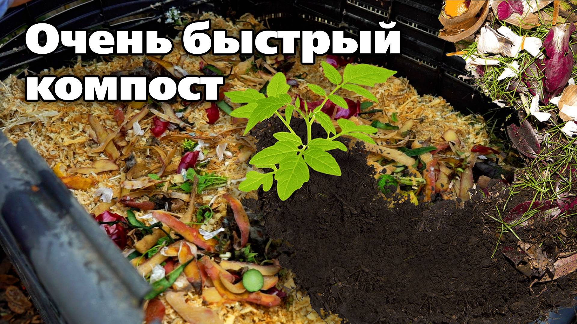Получаем ценное удобрение. Ускоряем созревание компоста