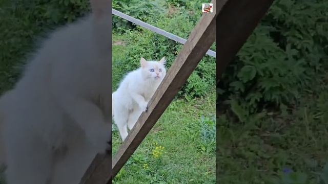 Настюня легко и просто освоила новую высоту 🌞💪😻👍❤️