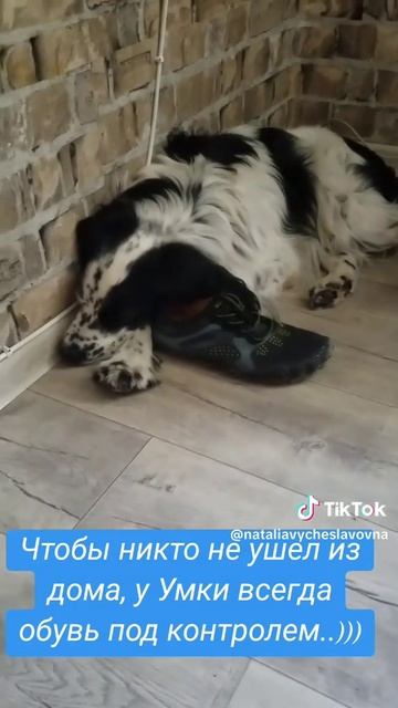 Столько планов было...)))