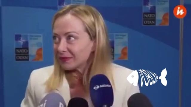Премьер-министр Италии Джорджи Мелони отвечает на вопросы на саммите НАТО

Зеленый дозу подкинул?