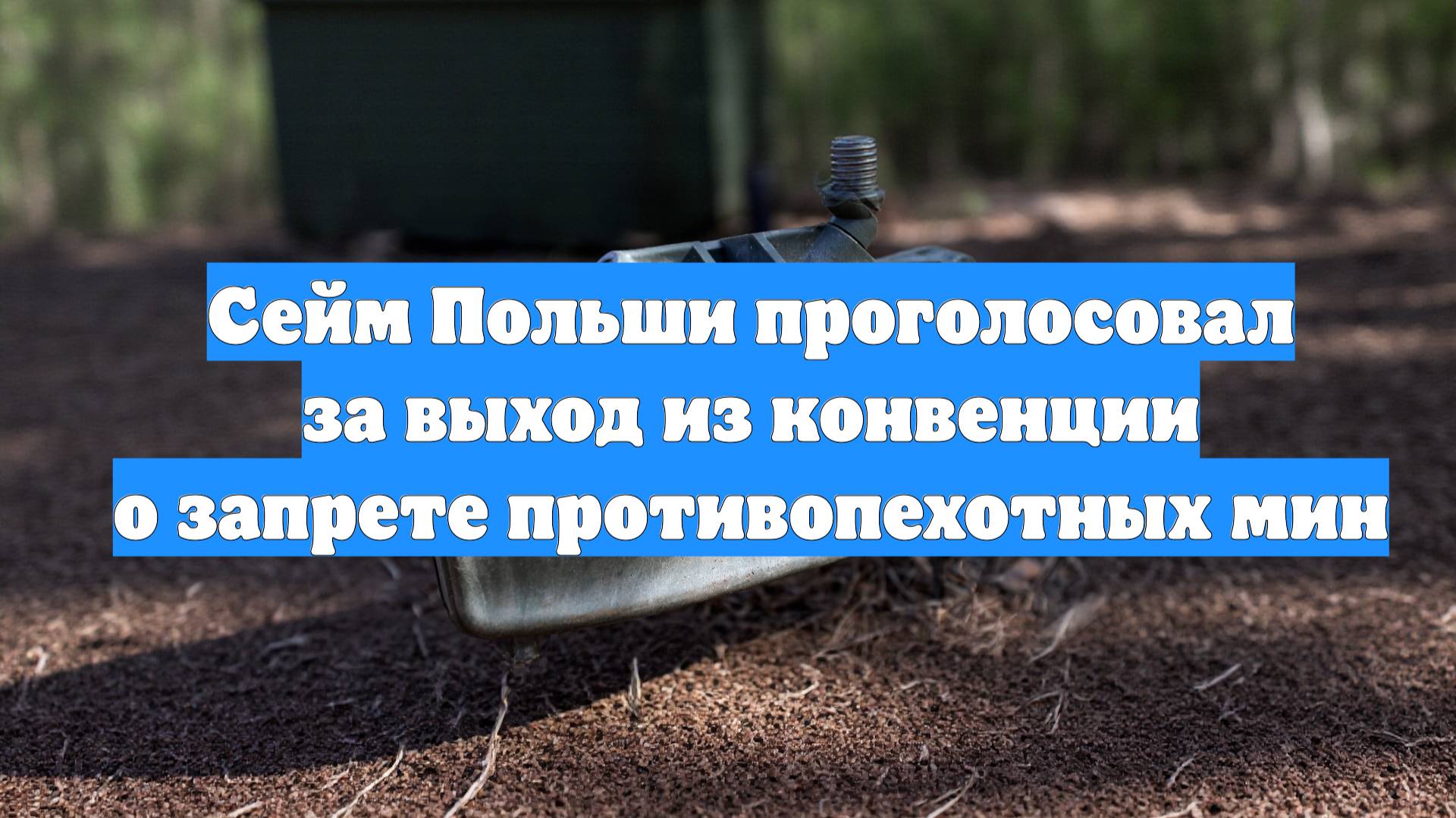 Сейм Польши проголосовал за выход из конвенции о запрете противопехотных мин