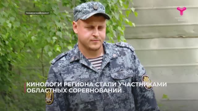 Соревнование+кинологов Динамо