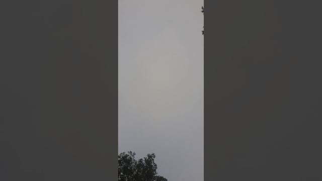 Я нашёл закопоную вещ и я был в шоке от того что я там увидел